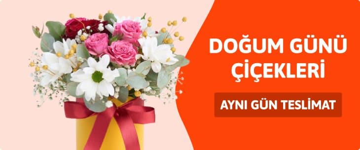 Dogum Gunu Cicekleri