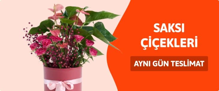 Saksi Cicekleri