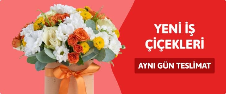 Yeni Is Cicekleri